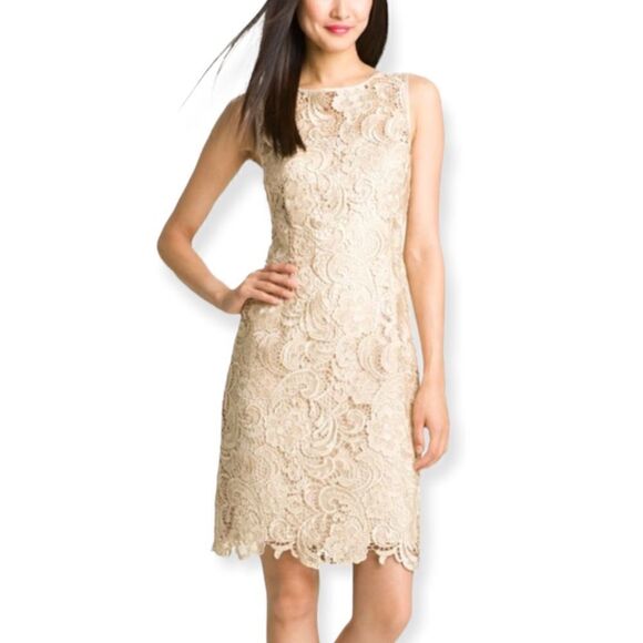Adrianna Papell Champagne Gold Lace Sheath Dress - Picture 1 of 10